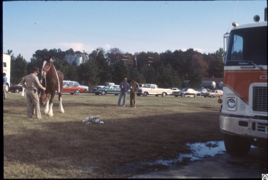 1980 Budweiser horses F'ville 03.jpg
